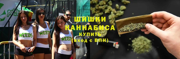 крисы Богородицк