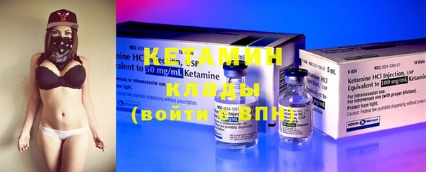 крисы Богородицк