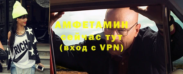 крисы Богородицк
