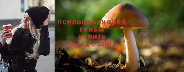 крисы Богородицк