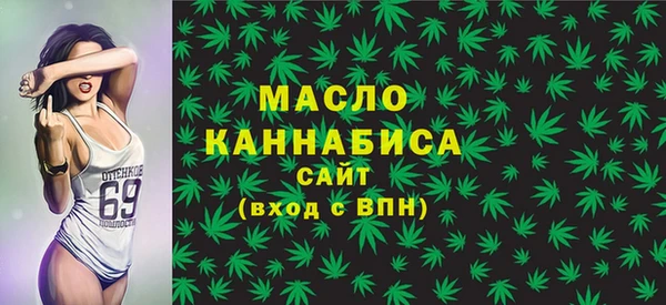 крисы Богородицк