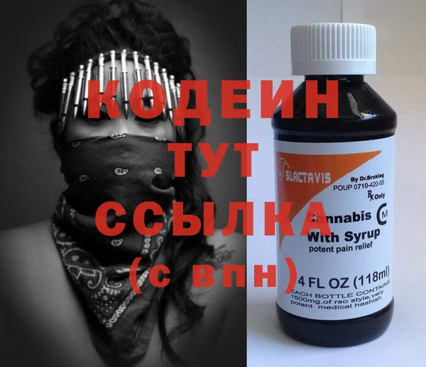 крисы Богородицк