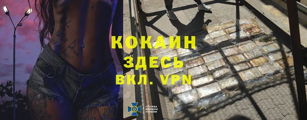 первитин Богданович