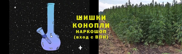 первитин Богданович