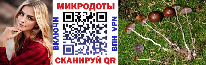 дарк нет клад купить сайты Кириллов Псилоцибиновые грибы GOLDEN TEACHER